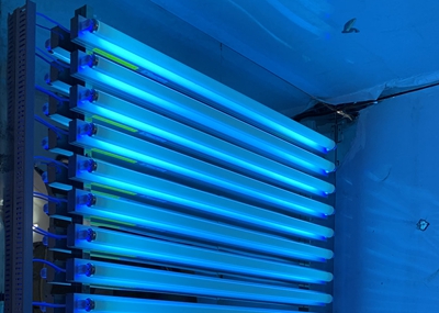 如何通過(guò)UV紫外光照實(shí)驗(yàn)箱構(gòu)建動(dòng)物皮膚光老化模型？