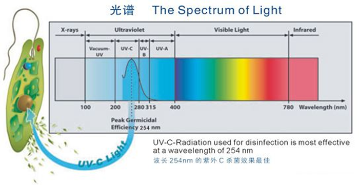 科普！紫外線殺菌燈對(duì)人體影響及正確使用方法
