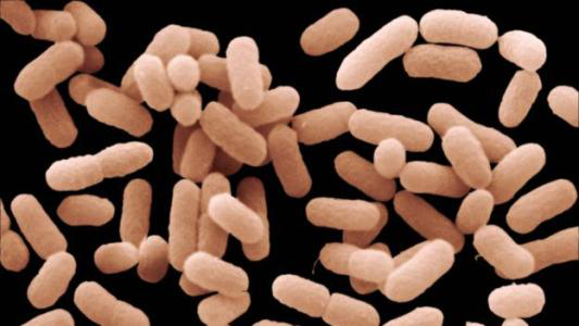 1596269979(1).jpg 1596269979(1).jpg